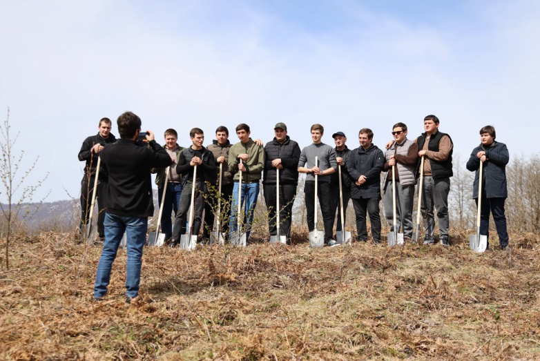 Сохраним каштановые леса Абхазии: ВААК запустил новый проект