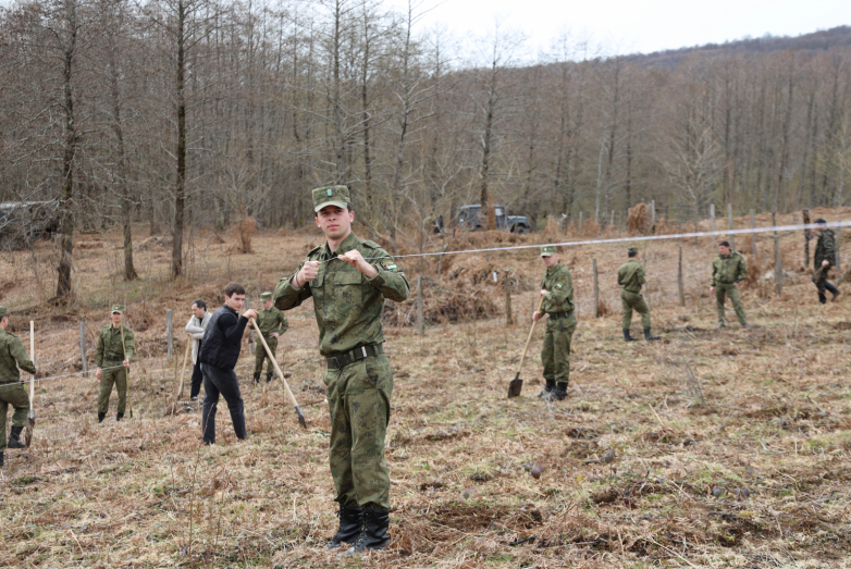 Сохраним каштановые леса Абхазии: ВААК запустил новый проект