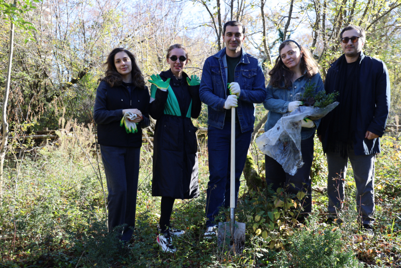 Возрождение абхазского самшита: ВААК продолжает проект по высадке деревьев