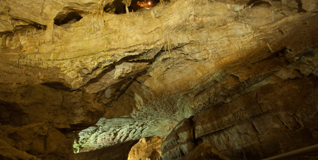 Новоафонская пещера - это девять абсолютно уникальных пространств, которые принято называть залами. Для доступа туристов из них открыты шесть: зал «Махаджиров», «Анакопия», «Нартаа», «Апхьарца», «Апсны» и «Аюхаа». На фото: зал «Аюхаа».
