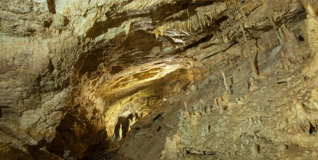 В пещере насчитываются сотни тысяч кристаллических образований более ста различных видов, они имеют самые разнообразные формы и расцветку.