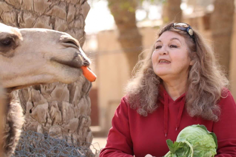 Амина Абаза и верблюд Саад в Саккаре 