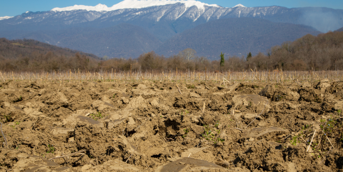 A plowed field against the backdrop of snow-capped mountains. Very soon, the first sprouts of corn will appear here.