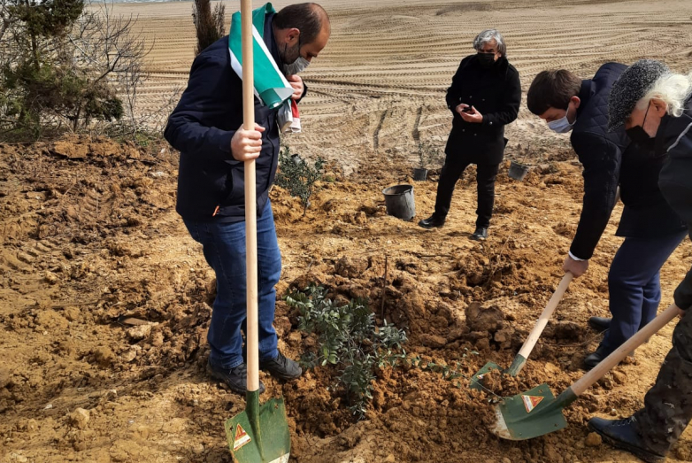 An olive grove was planted in Turkey in memory of the victims of the Caucasian War