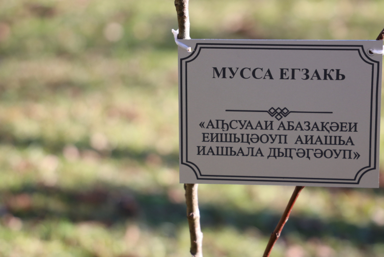 ВААК установил таблички с именами поэтов в Парке писателей в селе Баслаху